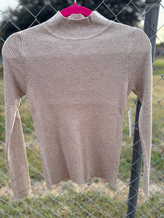 Wool Heavy Rib Turtle Neck Top - Sand Melange
