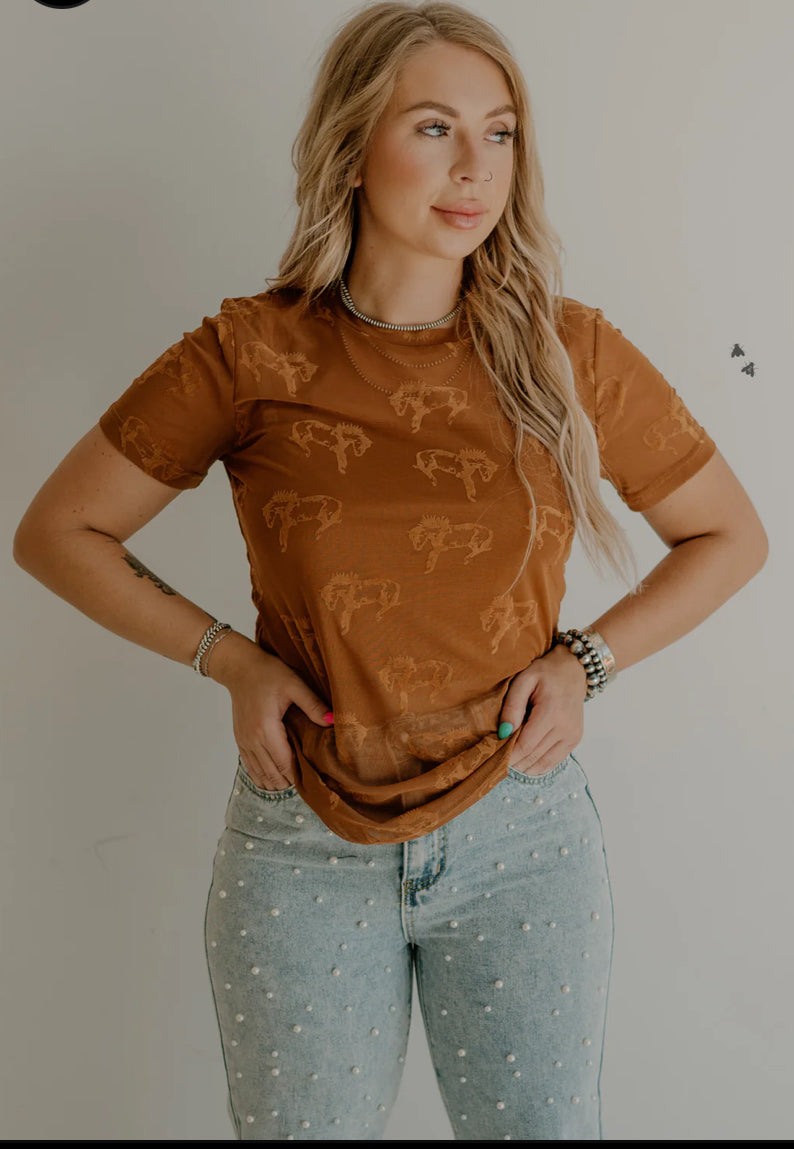 BUCK FIFTY TEE *SADDLE